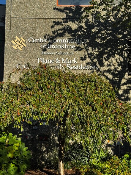 More Photos Of 1550 Beacon St, Brookline Apartments For Lease