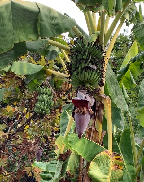 More Photos Of ,  Unknown For Sale