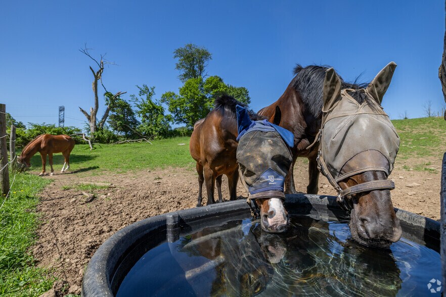 More Photos Of 11 Charlottesburg Rd, Boonton Horse Stables For Sale