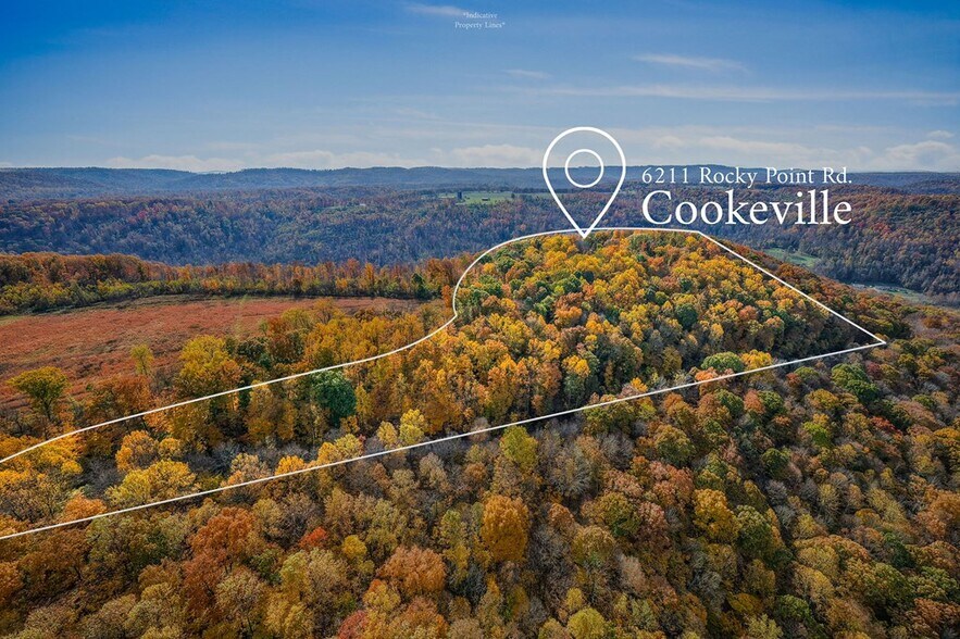 More Photos Of 6211 Rocky Point Rd, Cookeville Specialty For Sale