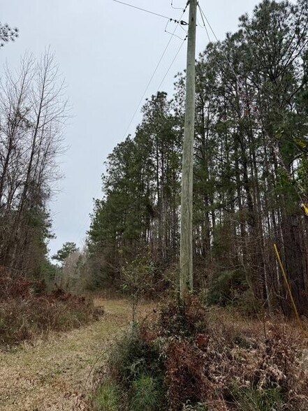 More Photos Of 00 Maypop Ln, Meadville Land For Sale