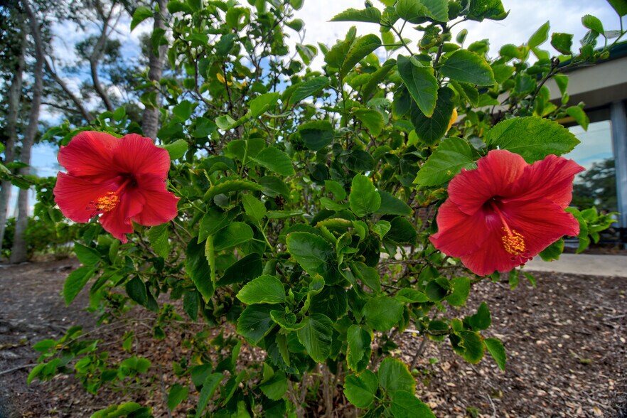 More Photos Of 4500 140th Ave N, Clearwater Unknown For Lease