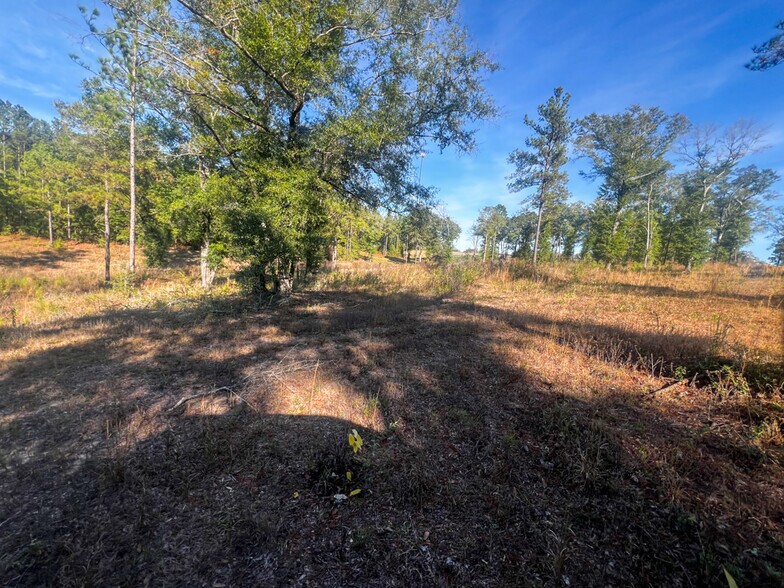 More Photos Of 0 Highway 198, Lucedale Land For Sale