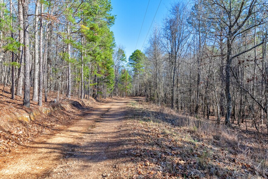 More Photos Of 277 Bethel Church Rd SE, Silver Creek Land For Sale