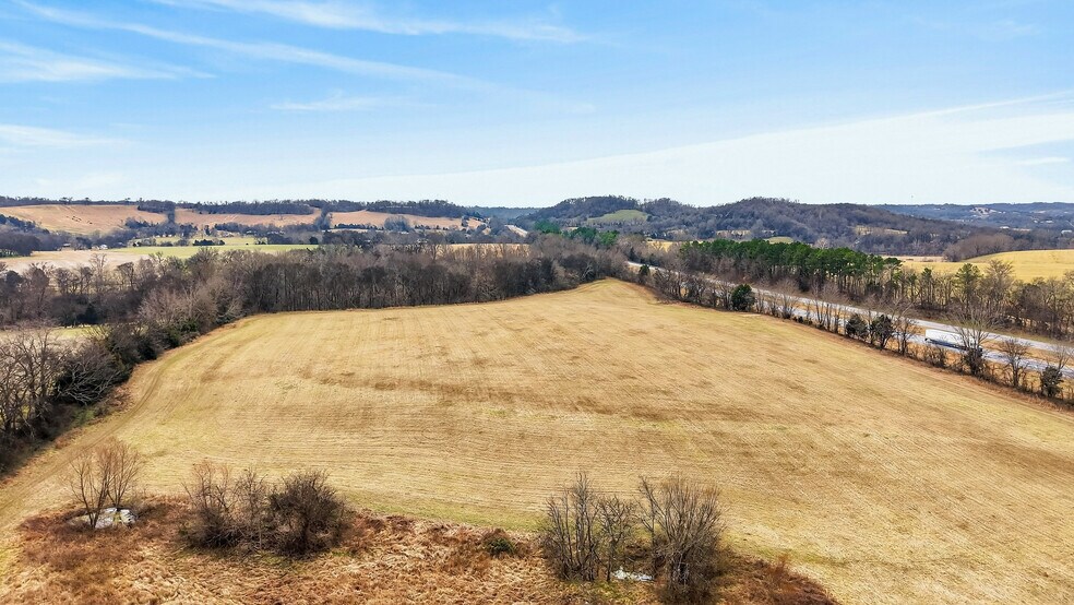 More Photos Of 9438 Lewisburg Hwy, Cornersville Land For Sale