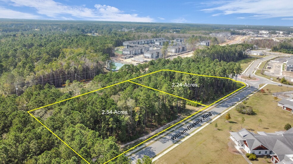More Photos Of 90 William Blakely xing, Pooler Land For Sale