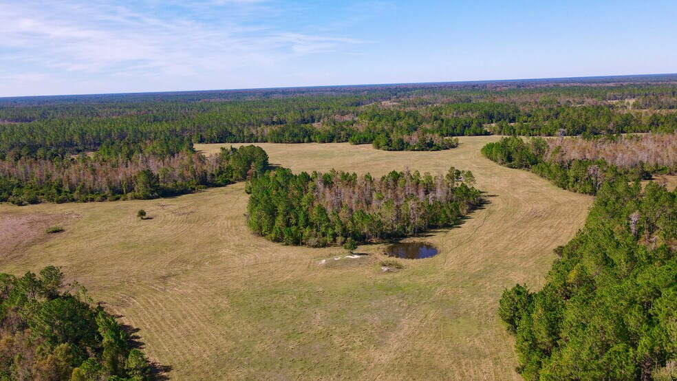 More Photos Of 4597 State 24 rd, Bronson Land For Sale