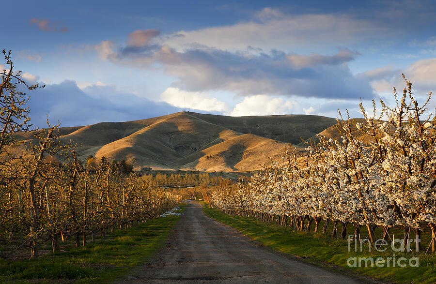 More Photos Of 20 Staff Sargeant Pendleton Way, Yakima Apartments For Sale