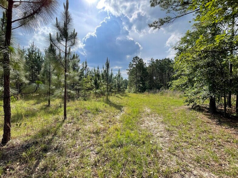 More Photos Of 229 Colbert Bridge Road, Windsor Land For Sale