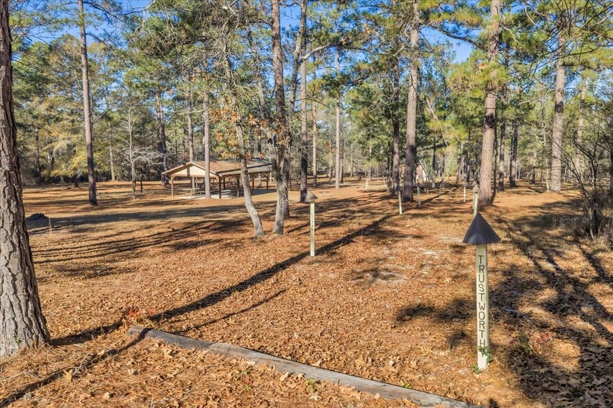 More Photos Of 2251 BOY SCOUT rd, Byron Land For Sale