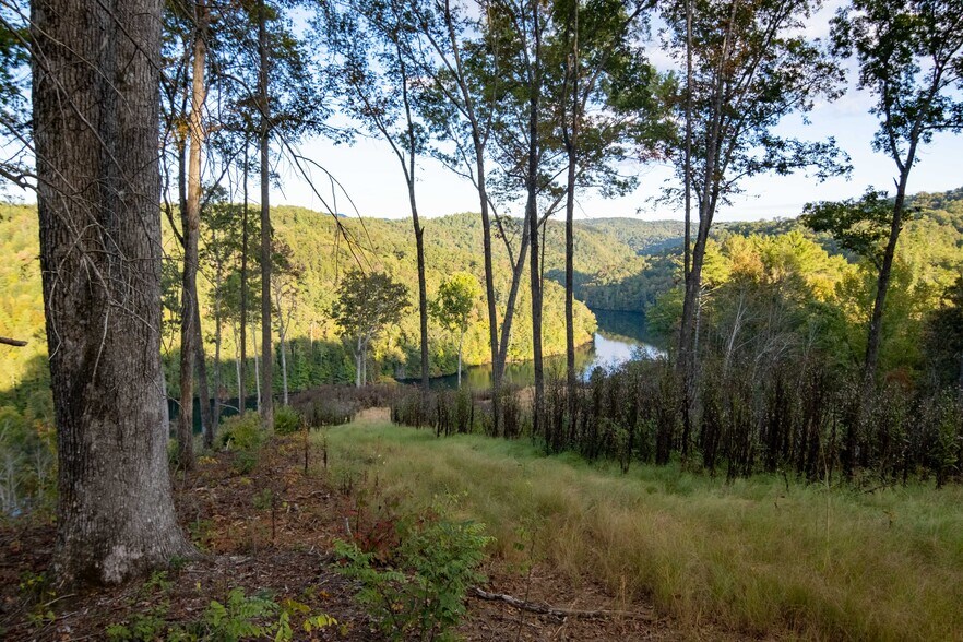 More Photos Of 2108 River Hill Road, Murphy Land For Sale