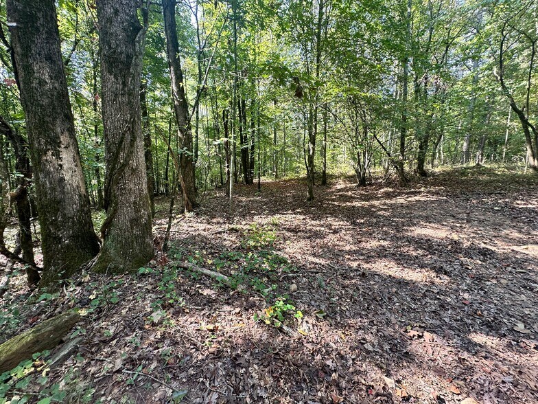 More Photos Of 00 Frix Rd, Cumming Land For Sale