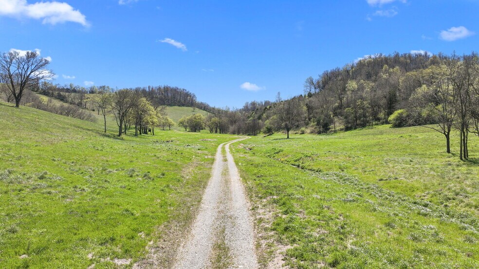 More Photos Of 0 McLaughlin Rd, Shelbyville Land For Sale
