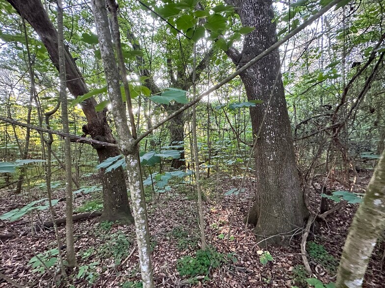 More Photos Of 0 Wilmer, Wilmer Land For Sale