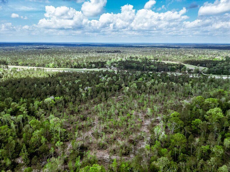 More Photos Of TBD Vick Spring Rd, New Waverly Land For Sale