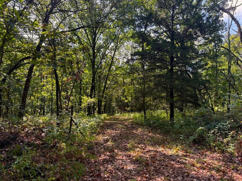 More Photos Of 17688 Golden Rd, Linwood Land For Sale