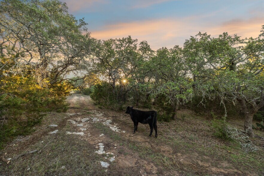 More Photos Of 678 Ammann Road, Bulverde Land For Sale