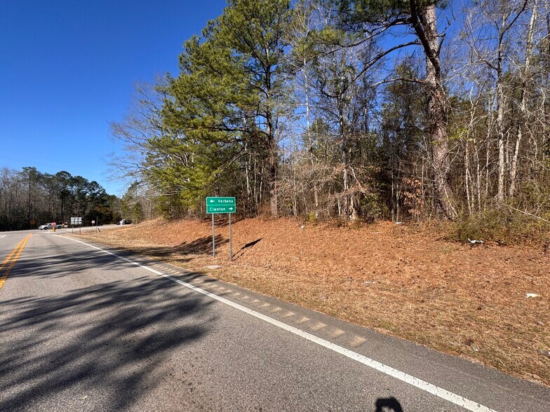 More Photos Of U.S. 31, Verbena Land For Sale