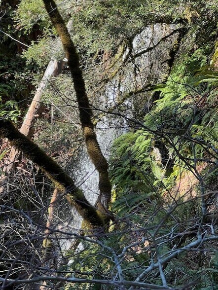 More Photos Of Highway 199, Crescent City Land For Sale