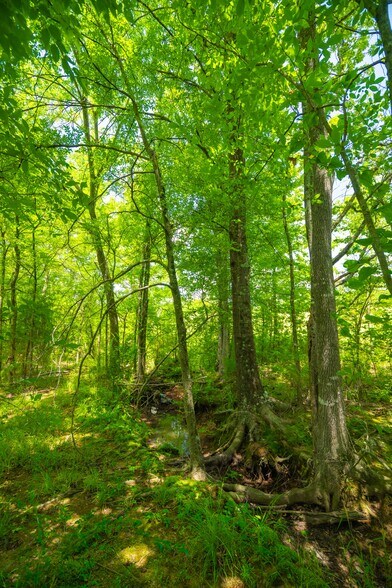 More Photos Of County Road 3311, Omaha Land For Sale