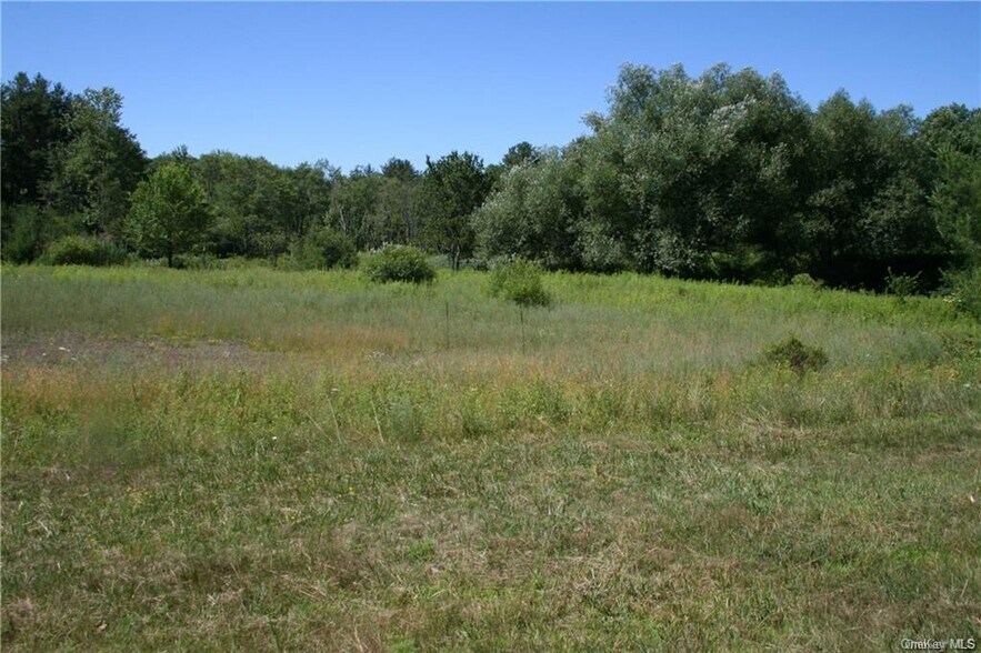 More Photos Of 14.6 Acres 17B rt, Monticello Land For Sale