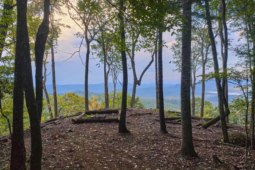 More Photos Of 243 Ridgeline Dr, Brevard Specialty For Sale