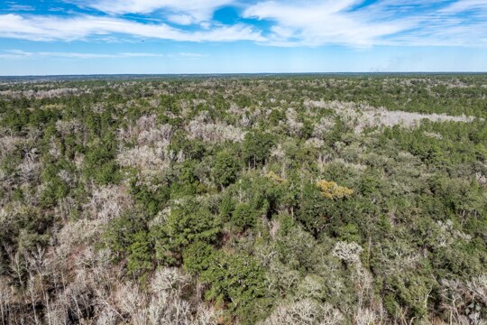 More Photos Of , Tallahassee Land For Sale