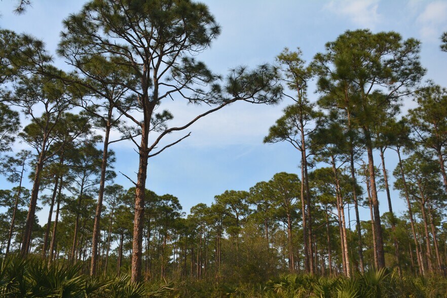 More Photos Of 8425 SW Martin Hwy, Palm City Land For Sale