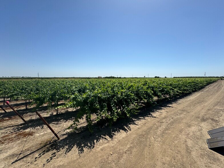 More Photos Of 25203 Road 212, Lindsay Land For Sale