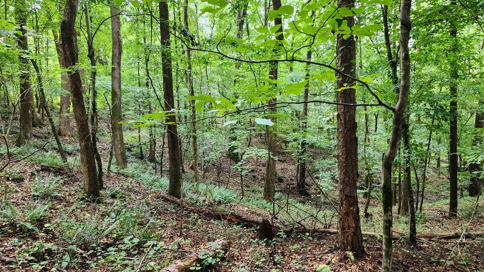 More Photos Of 1661 Friendship Rd, Hoschton Land For Sale