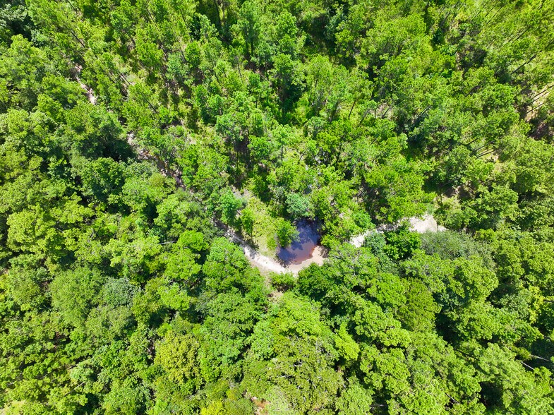 More Photos Of 0 Slim Palmer Road, Zavalla Land For Sale