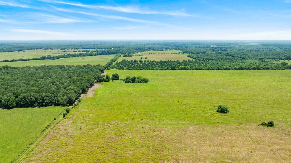 More Photos Of 449 County Road 1357, Clarksville Land For Sale