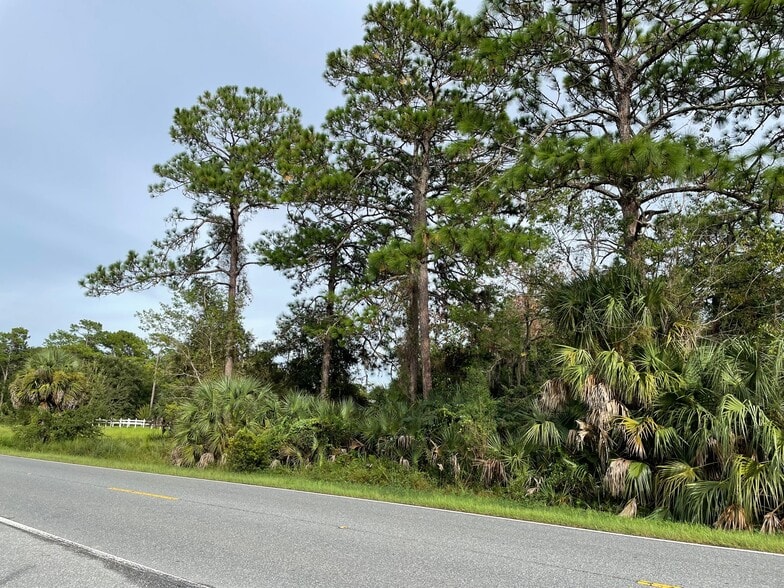 More Photos Of 7860 W Homosassa Trl, Homosassa Land For Sale