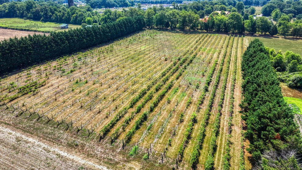 Primary Photo Of 1683 Peach Basket Rd, Felton Winery Vineyard For Sale