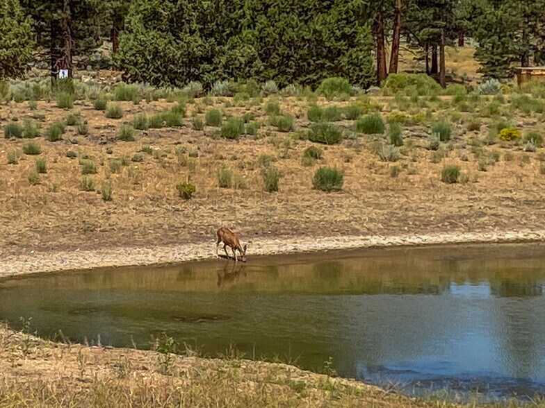 More Photos Of 550 Eagle Rdg Ln, Big Bear Lake Land For Sale