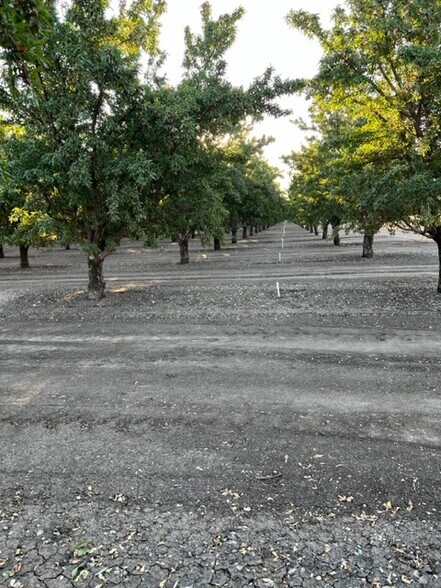 More Photos Of 585 Rose, Patterson Land For Sale