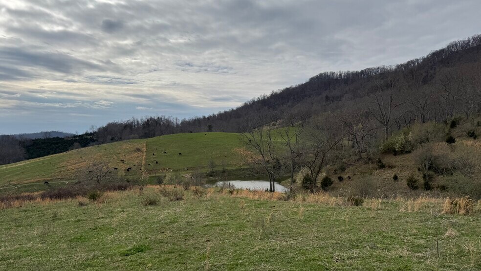 More Photos Of Lucrative Business Property, Jonesville Land For Sale