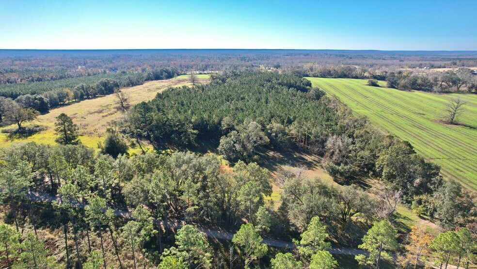More Photos Of , Tallahassee Land For Sale