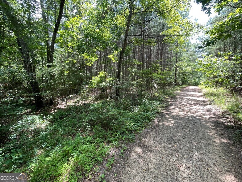 More Photos Of 0 Fallen Branch Circle Southeast, Rome Land For Sale