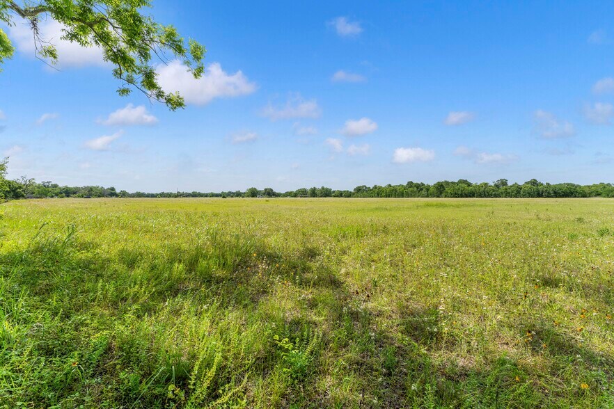 More Photos Of 10840 FM 442, Boling Land For Sale