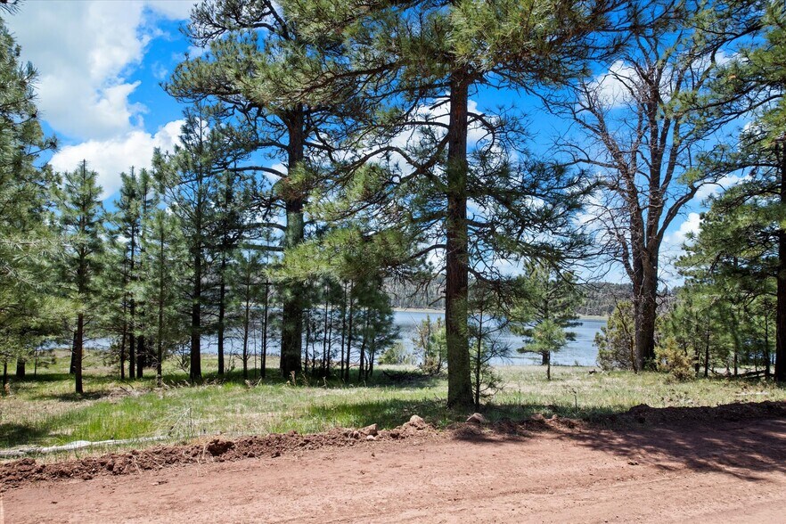 More Photos Of 00 Ponderosa Dr, Flagstaff Land For Sale