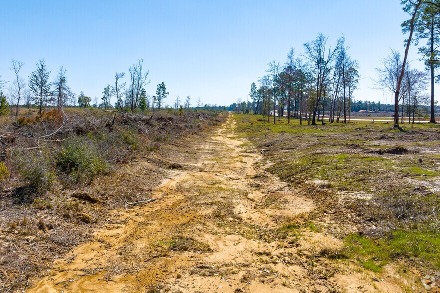 More Photos Of 0 U.S. HWY 59, Loxley Land For Sale