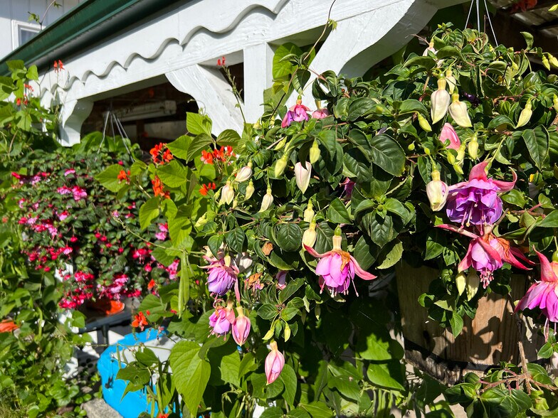 More Photos Of 16672 Frontier st, Clallam Bay Specialty For Sale