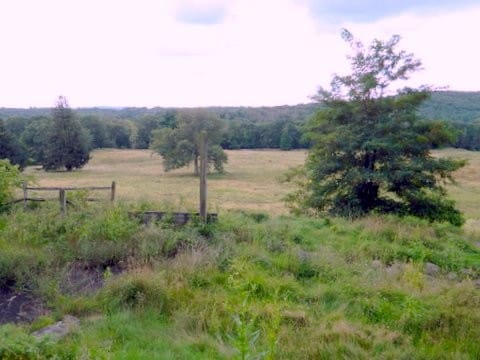 More Photos Of 1744 Route 611, Mount Pocono Land For Sale