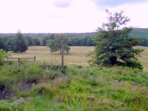 More Photos Of 1744 Route 611, Mount Pocono Land For Sale