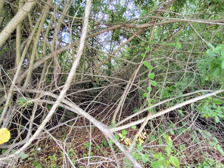 More Photos Of 5470 SE Ebbtide Ave, Stuart Land For Sale