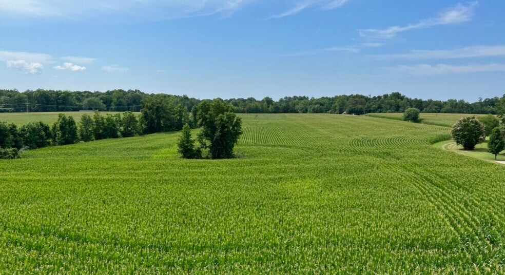 More Photos Of 5259 Ladysmith Rd, Ruther Glen Land For Sale