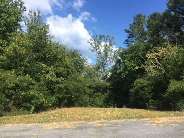 More Photos Of Joe Frank Harris Pky, Adairsville Land For Sale