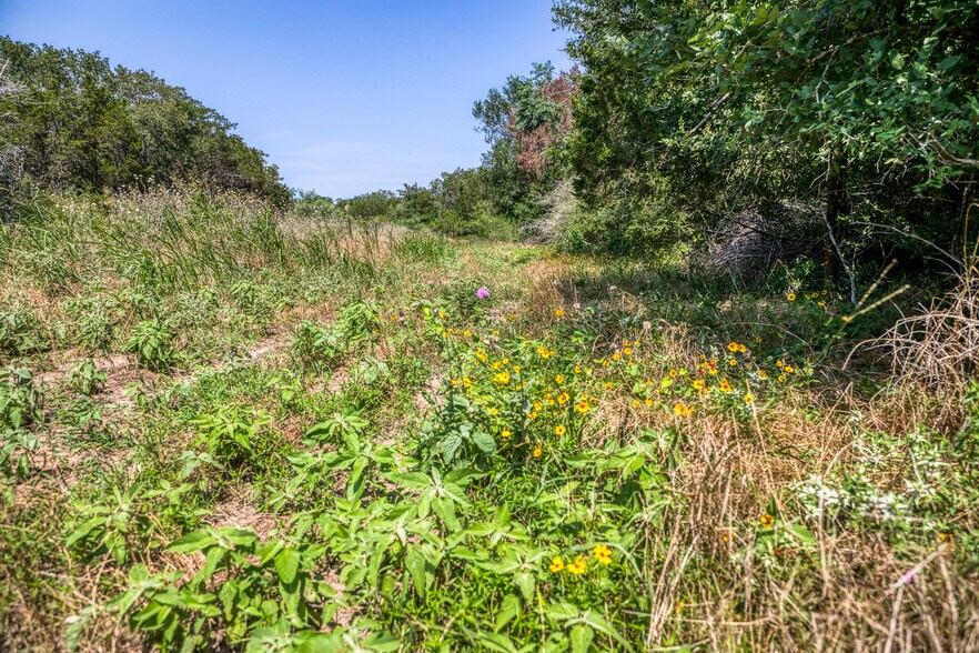 More Photos Of TBD (+/-88 Acres) Smith Rd, Bastrop Land For Sale