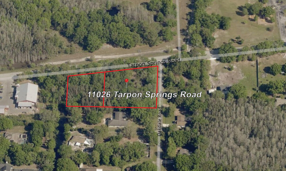 Primary Photo Of 11026 Tarpon Springs Rd, Odessa Land For Sale